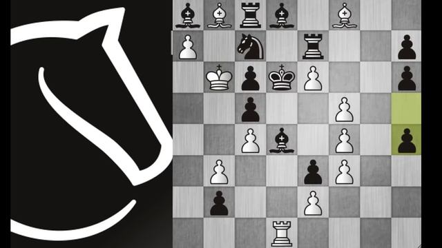 An AMAZING Chess Puzzle with a forced mate in 290 moves!! #Chess #Brilliant #cjxchess17 смотреть онлайн