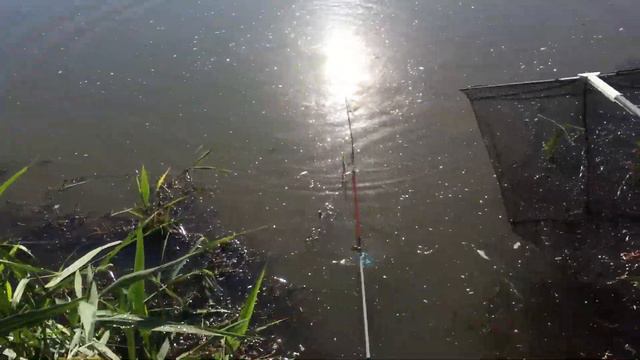 Рыбалка 🎣 поляновка ) смотреть онлайн