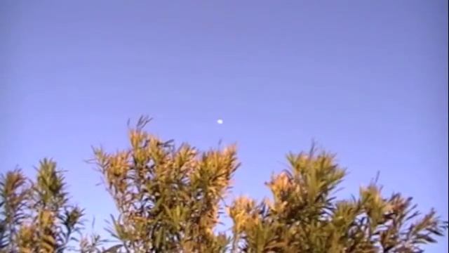 New Moon Big Moon смотреть онлайн