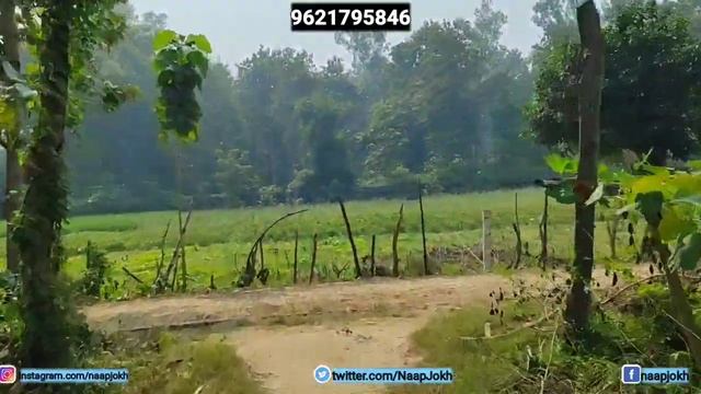 Plot in Gorakhpur| गोरखपुर मे सस्ता प्लॉट| रजही #video #vlog #viral #best #gorakhpur #plot смотреть онлайн