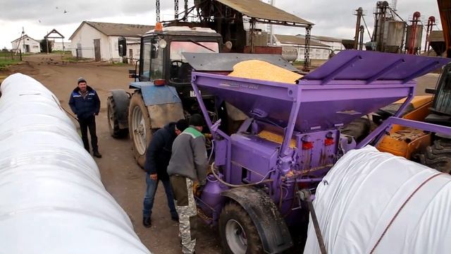 Плющение кукурузы учхоз