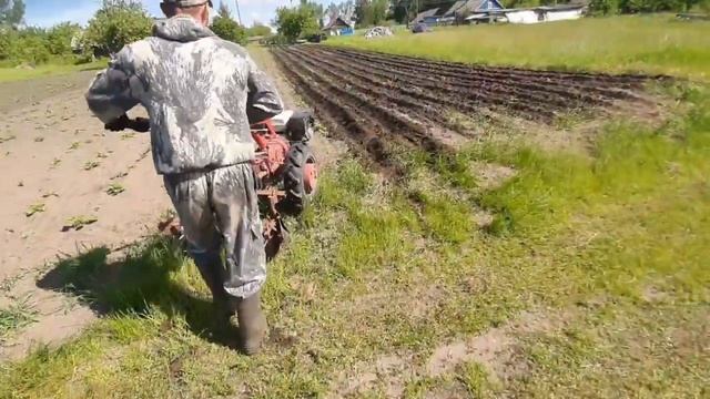 окучивание картошки.посаженной под плуг смотреть онлайн