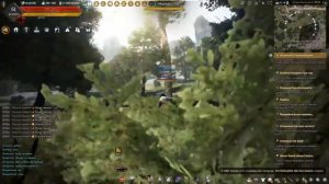 Black Desert [Охота] Любящий мед Медведь (первая точка нахождения)