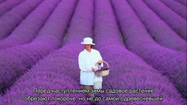 Ремонтные Истории