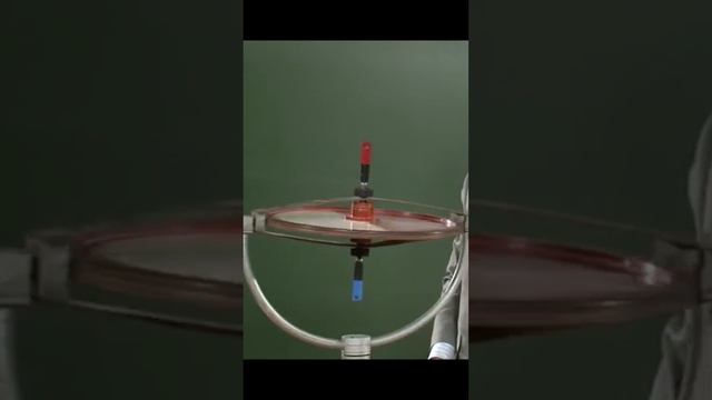 Гирокомпас смотреть онлайн