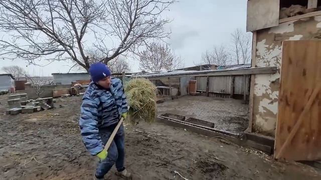 Будни в деревне \ Лиза много спит \ Купила то что искала \ Навели порядок и уехали смотреть онлайн