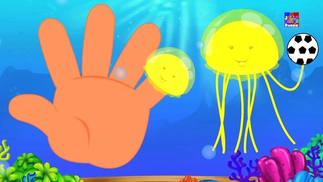 Фрукты пальца семьи | узнавать имена фруктов | Fruits Finger Family