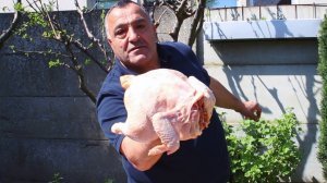 Как приготовить чахохбили из курицы в казане на костре. Чахохбили по грузински в домашних условиях