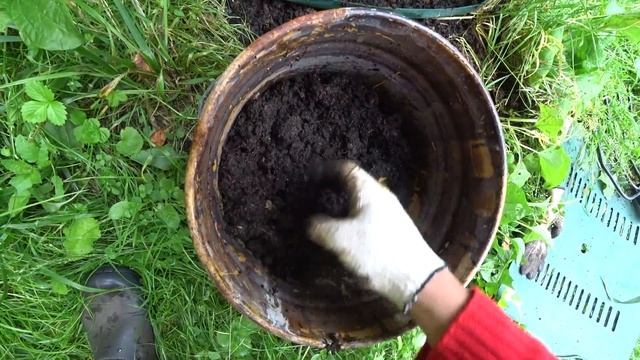 Компостер Волнуша 1000 литров. Сбор готового компоста! Спустя 1 год после закладки. смотреть онлайн