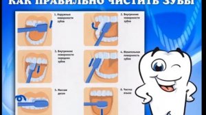 Почему надо чистить зубы и мыть руки