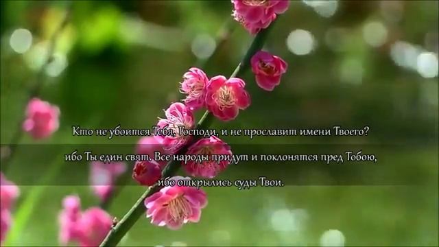 Откровение Святого Иоанна Богослова. Глава 15 смотреть онлайн