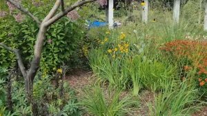 Личный сад Ольги Пятаковой. Прогулка по саду мастера ландшафтного дизайна.