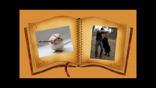 Akim iz Volotova смотреть онлайн