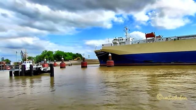 car carrier SEA CRUISER 1 3EAT5 IMO 8817100 inbound Emden Germany Autotransporter смотреть онлайн