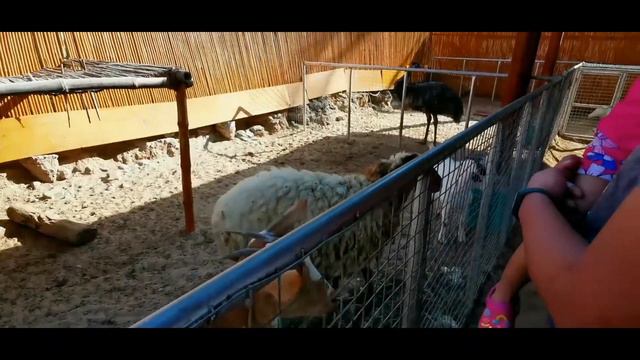 Longbeach Campground Hotel  | Ras Al Khaima