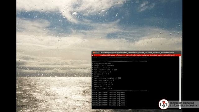 Online Rotation-Invariant Detector [OpenCV Code] смотреть онлайн