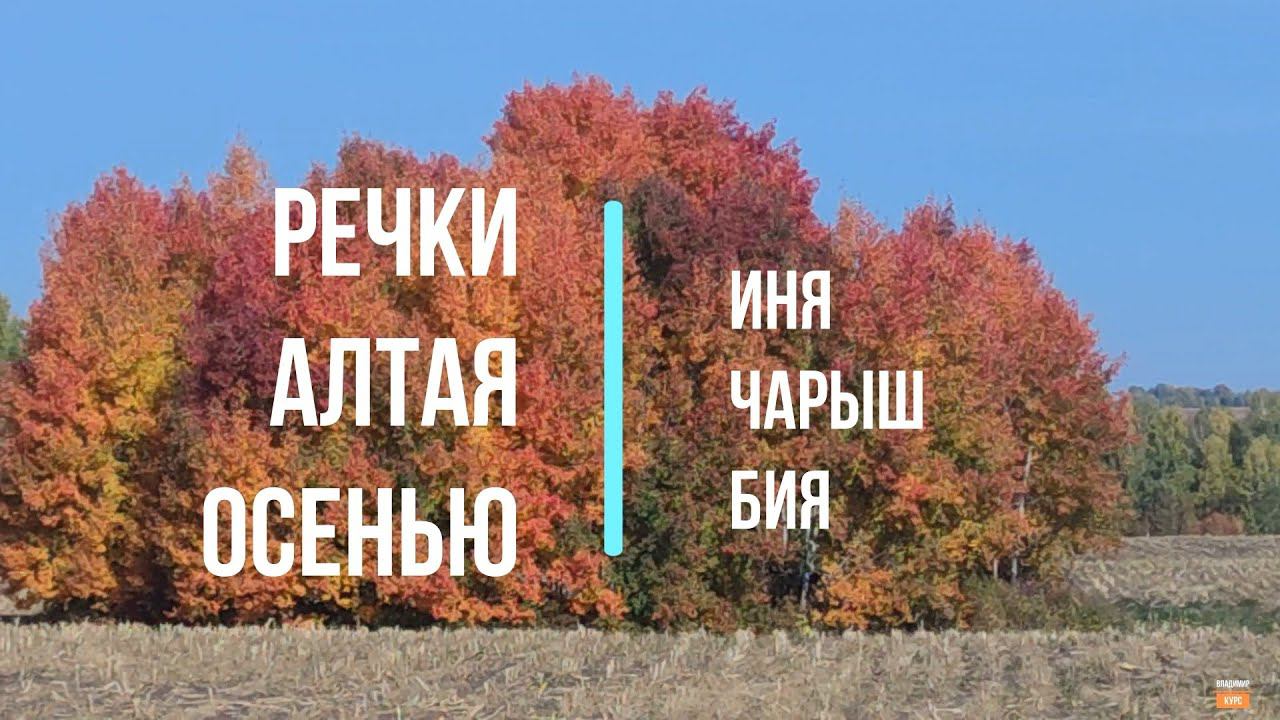 Речки Алтая Осень смотреть онлайн