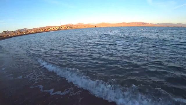Египет 2021. Barcelo Tiran sharm. ПЛЯЖ и РИФ. смотреть онлайн