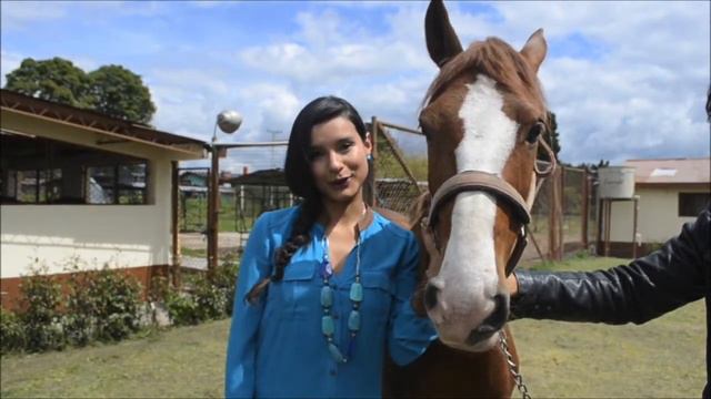 Adopta y Jubila un caballito ex cochero - Paola Rey смотреть онлайн