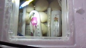 Настройка  температуры в инкубаторе несушка бюджетной комплектации