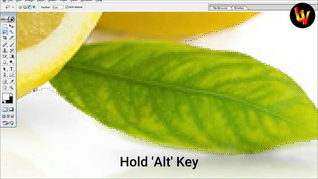 Lasso Tool & Magic Wand Tool - Adobe Photoshop 7.0 Tutorial for Beginners in Hindi/Urdu I Part-2 смотреть онлайн