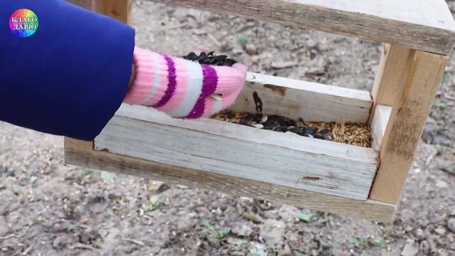 ДЕЛАЙ ДОБРО И БРОСАЙ ЕГО В ВОДУ / #Приседания каждый день / 21 смотреть онлайн