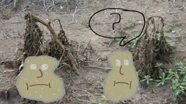 latvia joke 1 смотреть онлайн