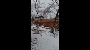 Видеоотзыв о работе мастеров РемОснова по замене нижней обвязки каркасно-щитового дома.