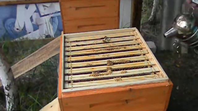 2 Второй корпус Установка корпуса с вощиной на 3 корпус под 4 смотреть онлайн