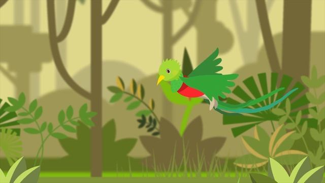 ABC Phonics With Animals | QUETZAL | Letter Q