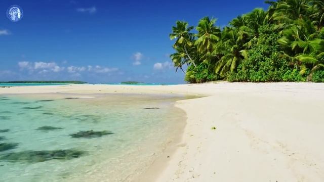 Джо Диспенза. Измени своё состояние бытия. смотреть онлайн