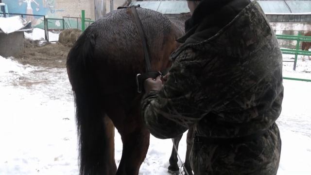 Езда на лошади.Катаемся на тюбинге смотреть онлайн