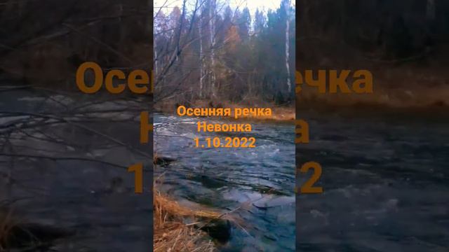 Осенняя речка Невонка - приток Ангары. 1.10.2022 смотреть онлайн
