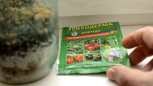 Получаю чистую триходерму