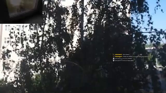 Эксперимент по Наблюдению за гнездом  07.06.20г.