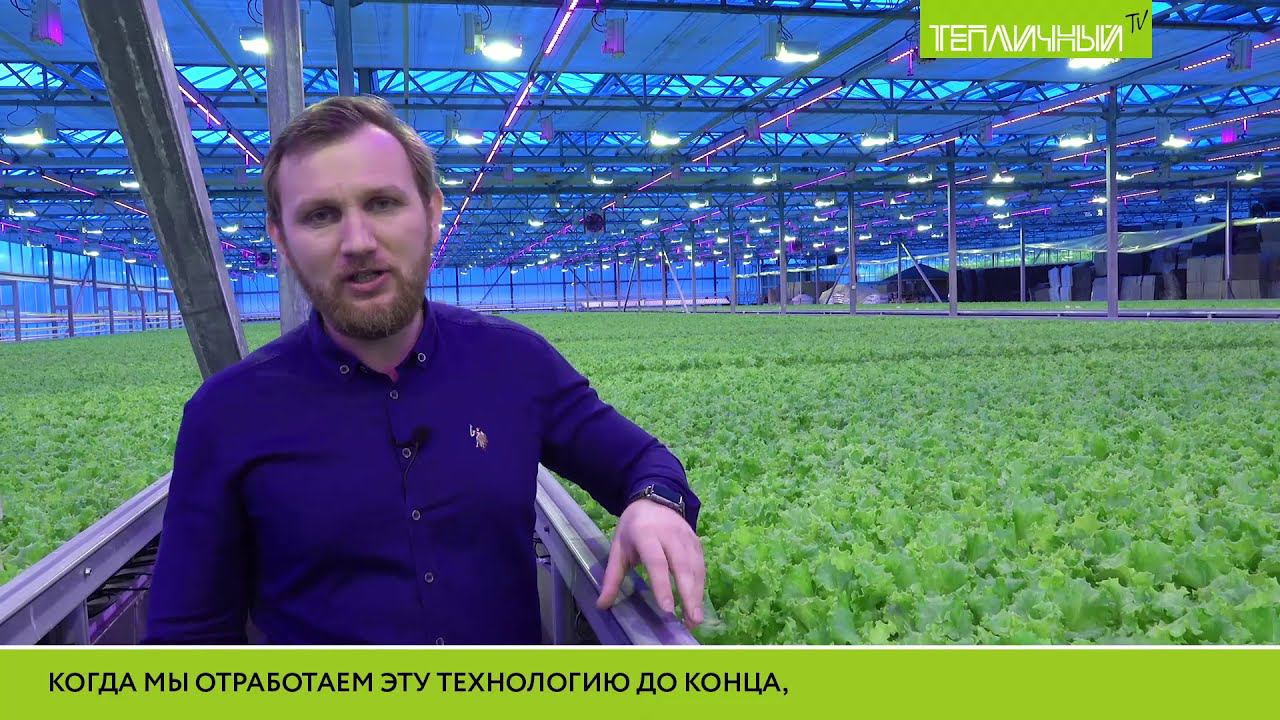 В «Тепличном» переходят на гибридную систему освещения смотреть онлайн