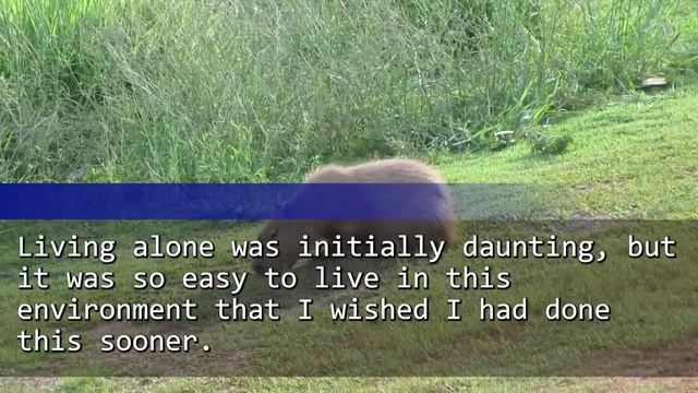 Pay $2.5K per monthBrother's family 'We're in. Leave!'→Truth realized on the moving day was...LOL смотреть онлайн