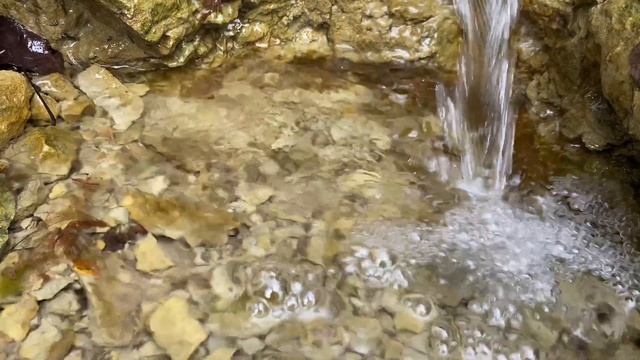 Выпуск 1. Нереально много мусора. Спасаю природу смотреть онлайн