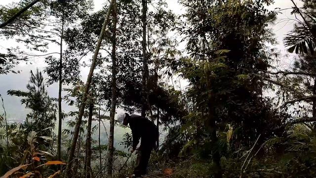 Building Warm Shelter And Comfortable Dugout , Survival Shelter | Camping In Rain