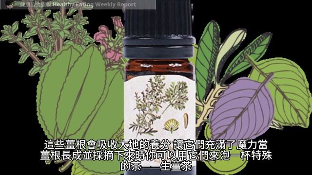 薑茶的保健奧秘：揭示10種令人驚喜的健康益處！（附中文字幕）｜健康飲食週報 Healthy Eating Weekly Report