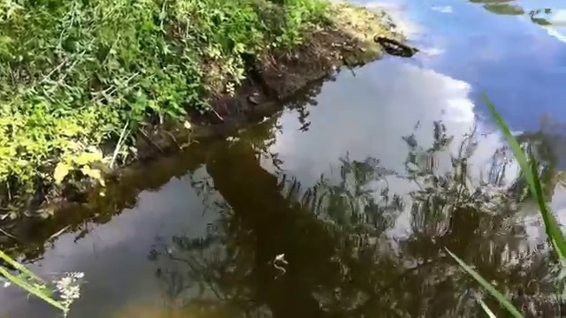 Путивль,лето,жара. Современность и прошлое.