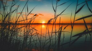 Liquid Drum and Bass Mix #150