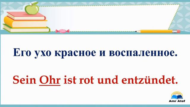 5- 3000 самых важных слов и выражений немецкого языка по темам ( das Gesicht /лицо ) смотреть онлайн