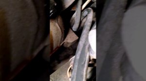 Volvo S90 Vacuum Tree