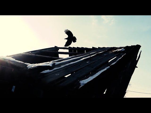 Про небо в клеточку и тайну с точечку. смотреть онлайн