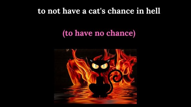 What did cats do to deserve this? ? смотреть онлайн