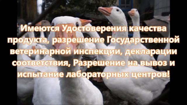 рыбная мука киров купить оптом цена стоимость смотреть онлайн
