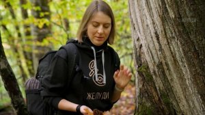 Где растут вкусные каштаны?