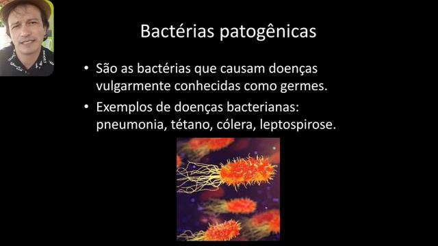 Aula 12 (Vídeo 6) 7º Ano - Bactérias, características gerais. reapresentação em 10 MAI 21 смотреть онлайн