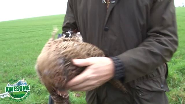 Bird Hunting - Shooting Pheasants | TA Outdoors смотреть онлайн